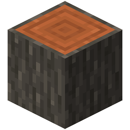 Acacia Log