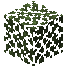 Birch Leaves
