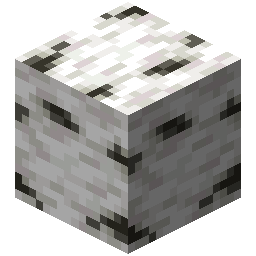Birch Wood