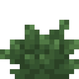 Bush