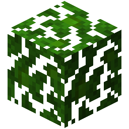 Jungle Leaves
