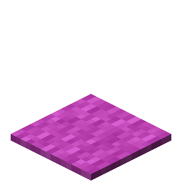 Magenta Carpet