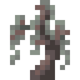 Pale Oak Sapling