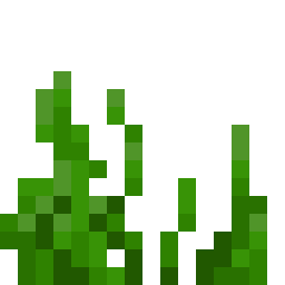 Seagrass