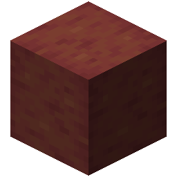Stripped Mangrove Wood